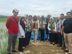 Dukung Visi Misi Gubernur SDK, DTPHP Sulbar Siap Bantu Petani Mapilli Bangkit dari Gagal Panen